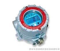 FGM-1000美国华瑞RAEGuard PID有机气体检测仪FGM-1000