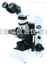 CX31-32CO2奥林巴斯生物显微镜CX31生物显微镜CX31-32CO2
